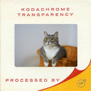 Forget about that dusty old box of slides, we can bring them to the 21st century with our conversion service